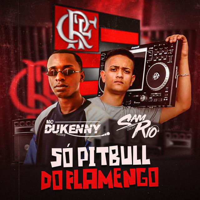 Music Só Pitull do Flamengo