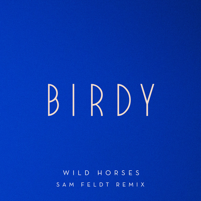 Canción Wild Horses - Sam Feldt Remix