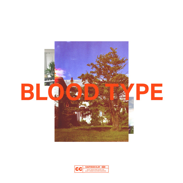 Canción Blood Type