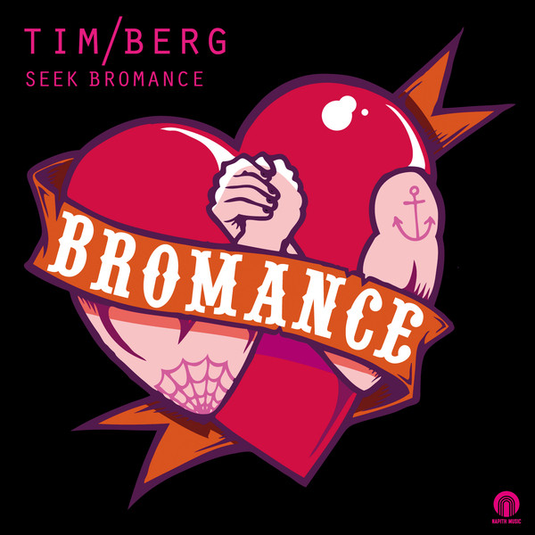 Music Seek Bromance (Avicii Vocal Edit)