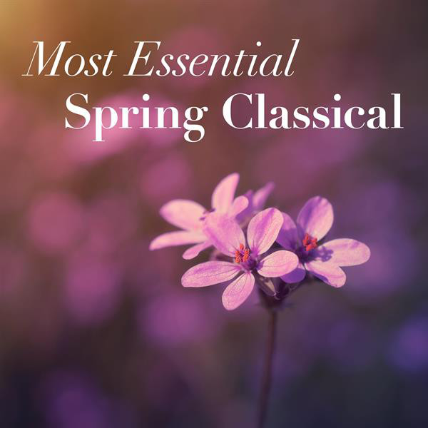 Music The Four Seasons, Violin Concerto No. 1 in E Major, RV 269 "Spring": II. Largo