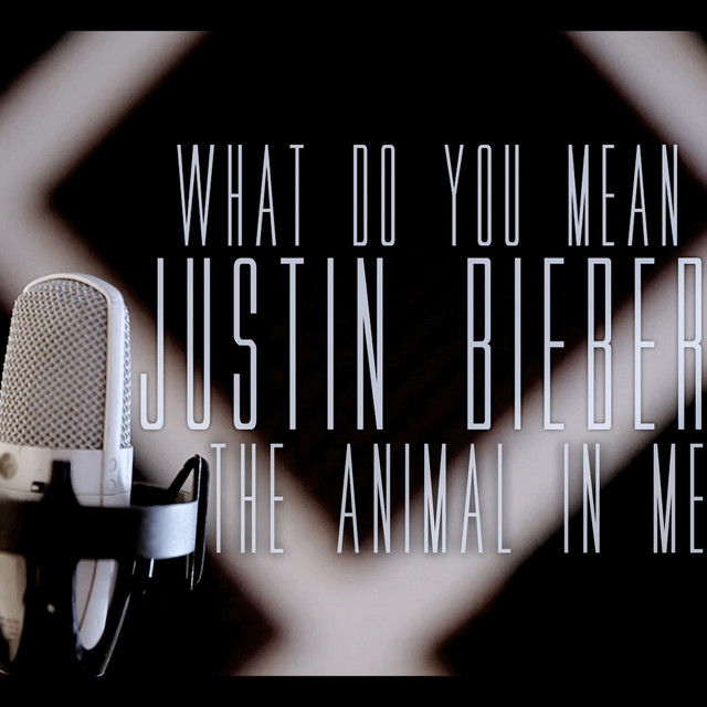 Canción What Do You Mean