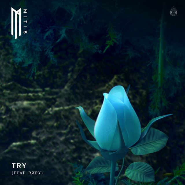 Music Try (feat. RØRY)