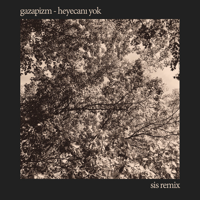 Music Heyecanı Yok - SIS Remix