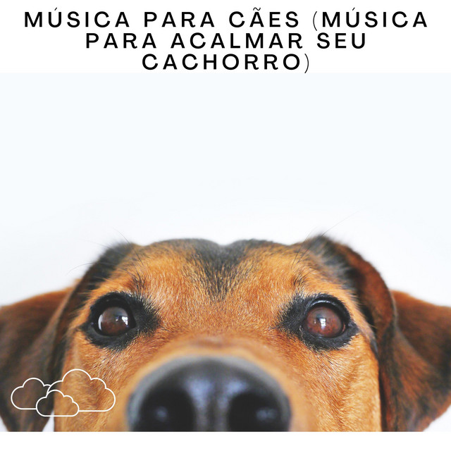 Canción Música Para Cães (Música Para Acalmar Seu Cachorro), Pt. 61