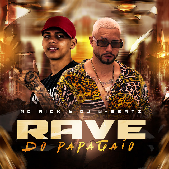 Music Rave do Papagaio