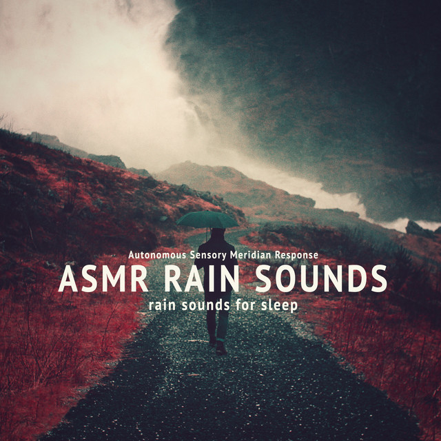 Music Rain Sounds: Calm Night