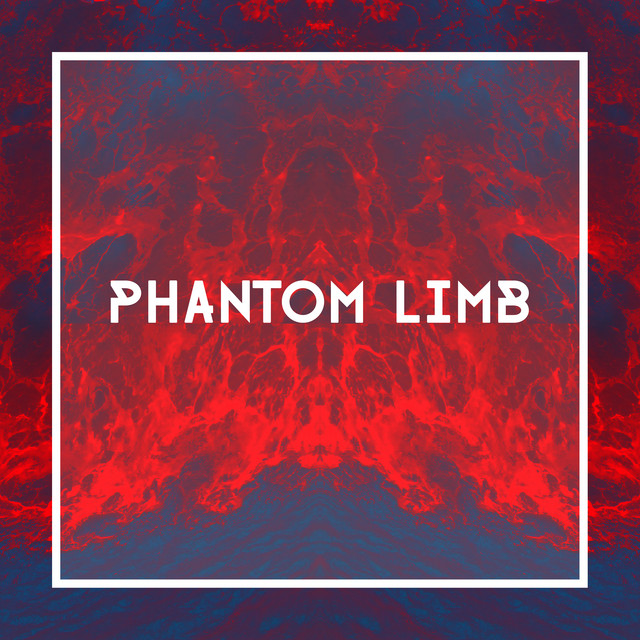 Music Phantom Limb