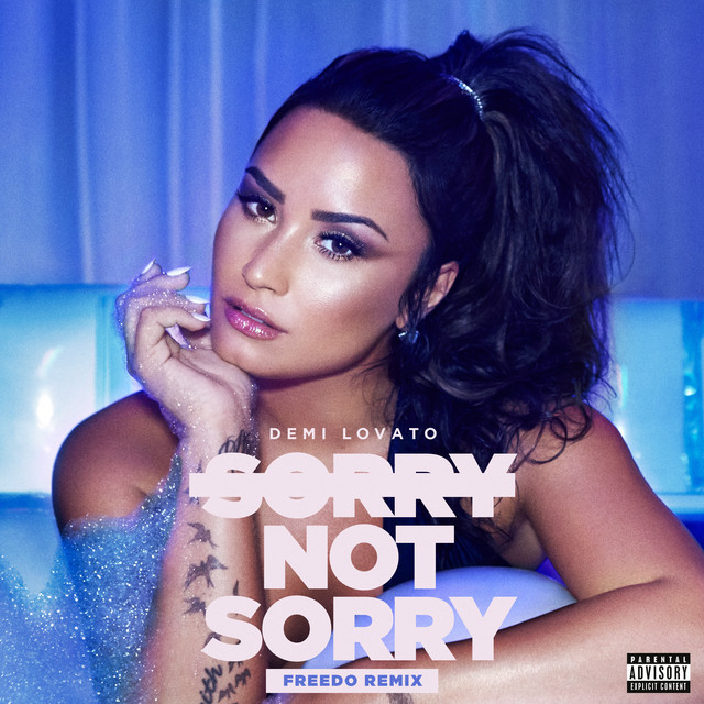 Canciones Sorry Not Sorry - Freedo Remix