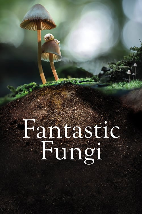 Movie Fantastic Fungi