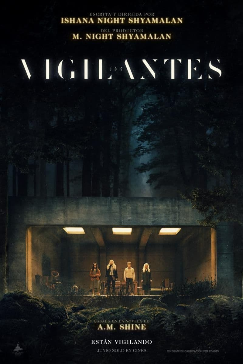 Película Los vigilantes