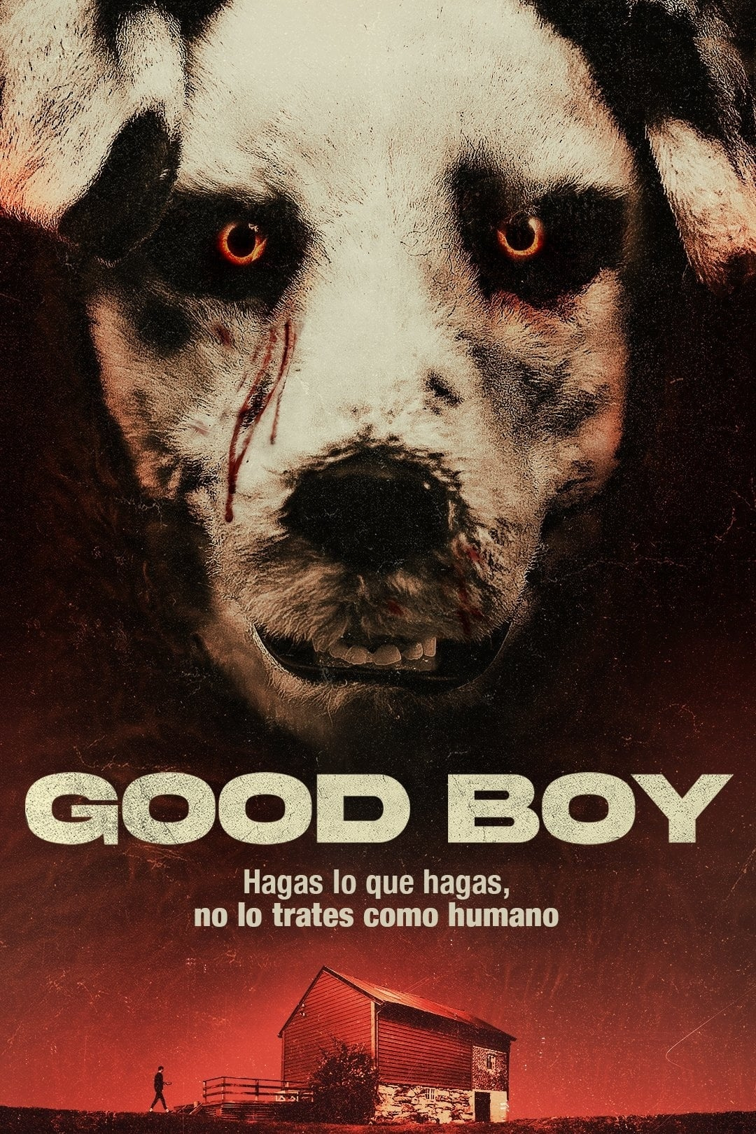 Película Good Boy