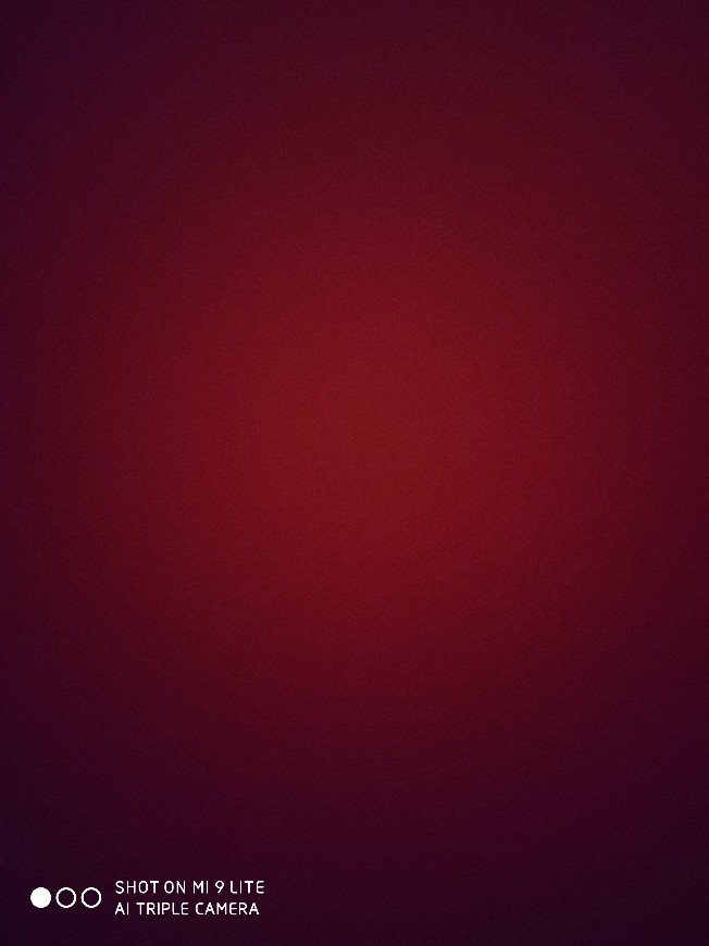 nocas_a_dorminhoca