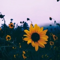 @aesthetic_things