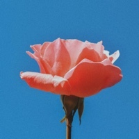 @aaaa___aaa__aasjjee
