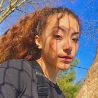 dias_erica_2006