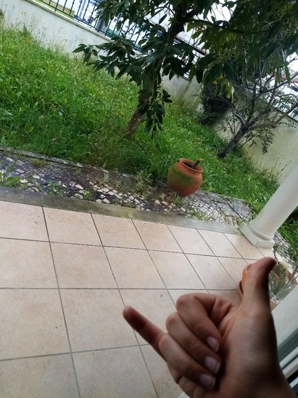 parreira