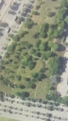 @elbosque