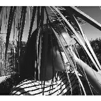 paulacm091