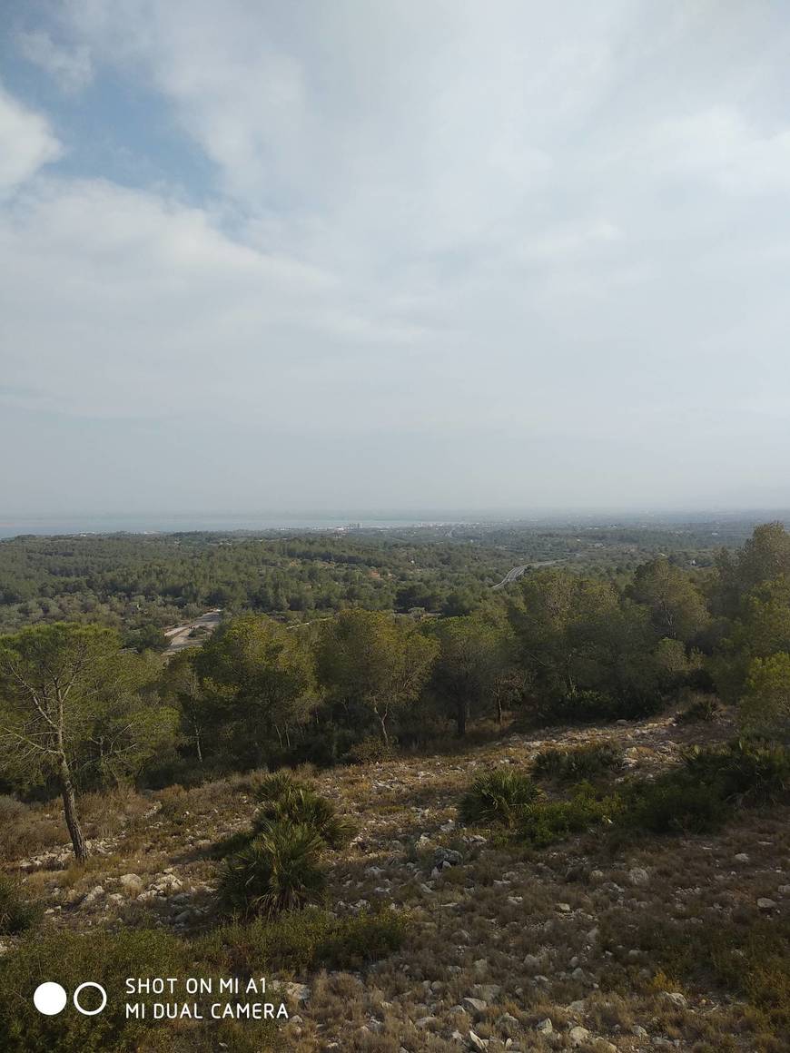 Place La Ametlla de Mar