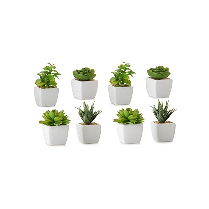 Product Flyes 12 Estilos Mini Plantas Suculentas Artificiales Plantas Decorativas de Cactus Cactus