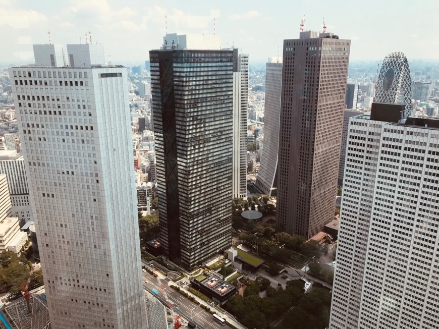 Place Tokyo Metropolitan Government Building observation room