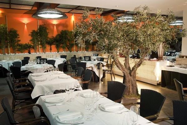 Restaurants Restaurante El Tomate de las Rozas