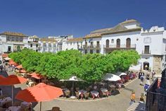 Places Plaza de los Naranjos