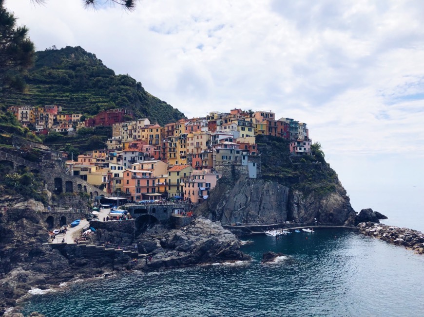 Place Manarola