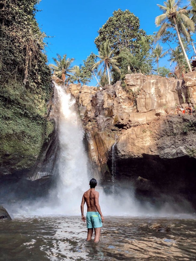 Place Tegenungan Waterfall