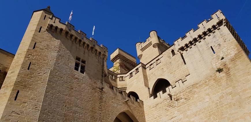 Lugar Palacio Real de Olite