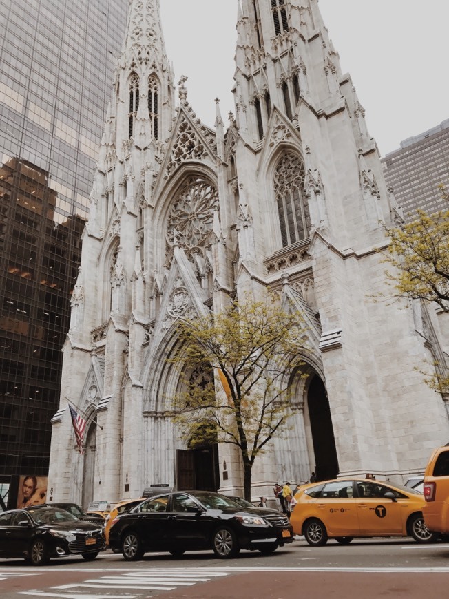 Lugar Saint Patrick's Cathedral