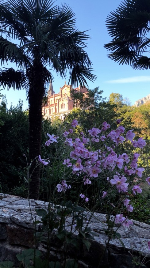 Lugar Santuario de Covadonga