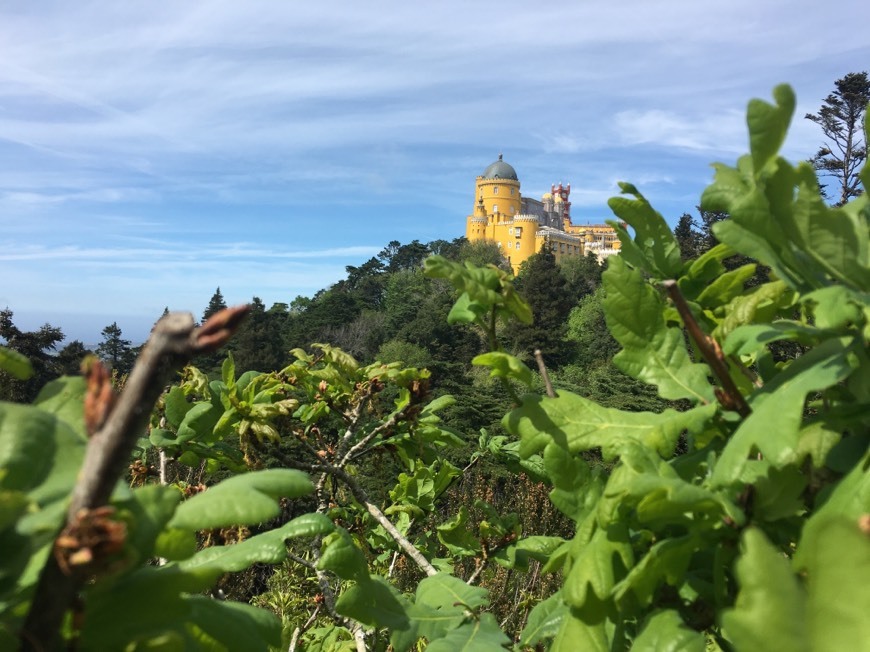 Place São Pedro de Penaferrim