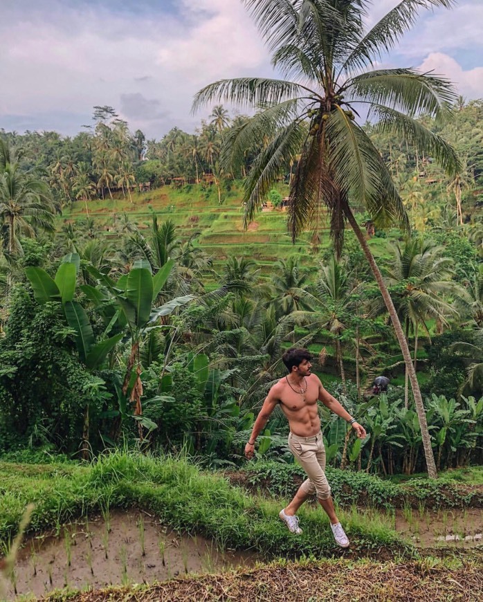 Lugar Tegallalang Rice Terrace