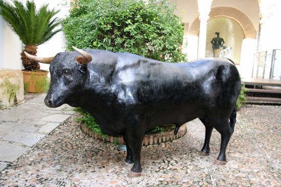 Lugares Museo Taurino de Córdoba