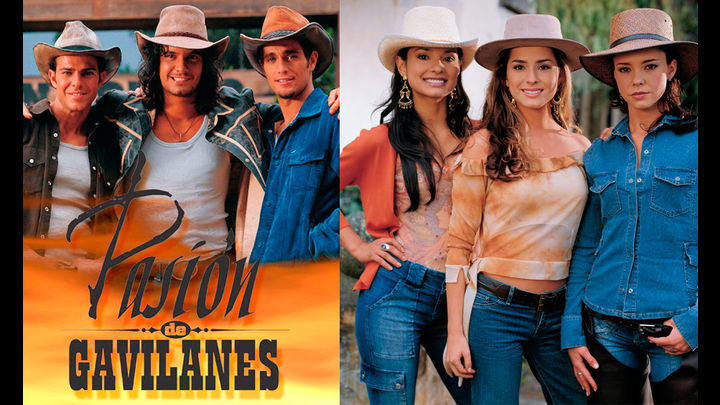 Serie Pasión de gavilanes