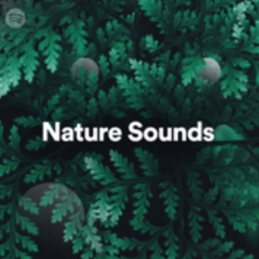 Canciones Lista de Spotify “Nature Sounds” 