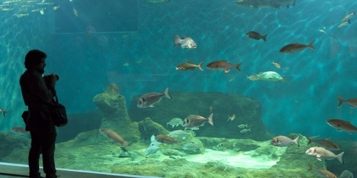 Acuario Sevilla