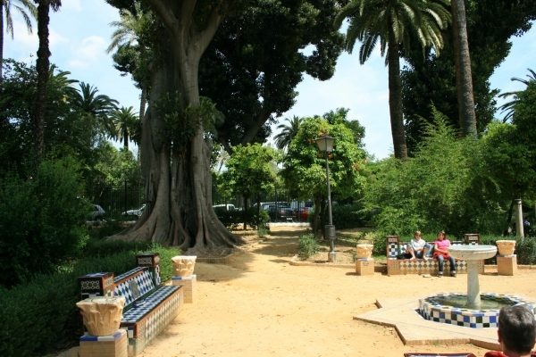 Lugar Jardines de Murillo