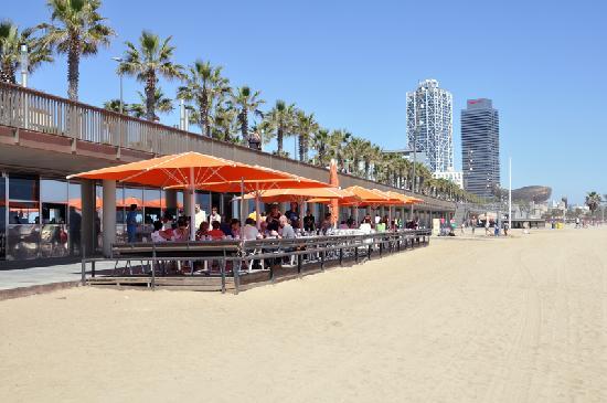 Restaurantes Sal Café