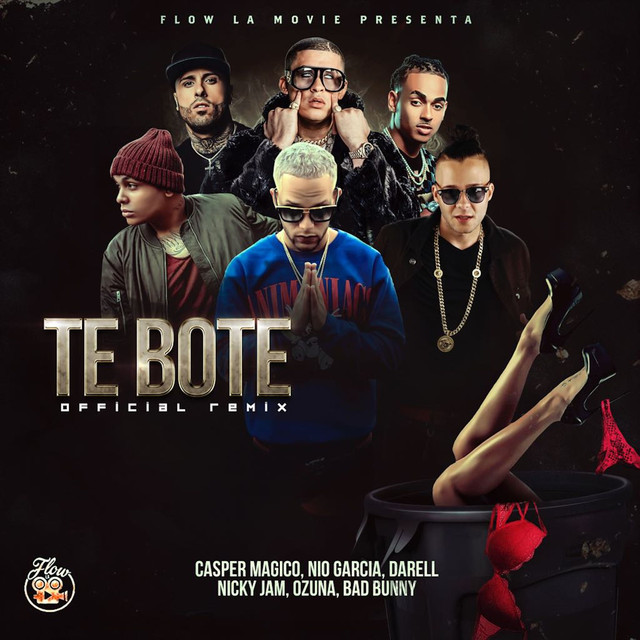 Canción Te Boté - Remix