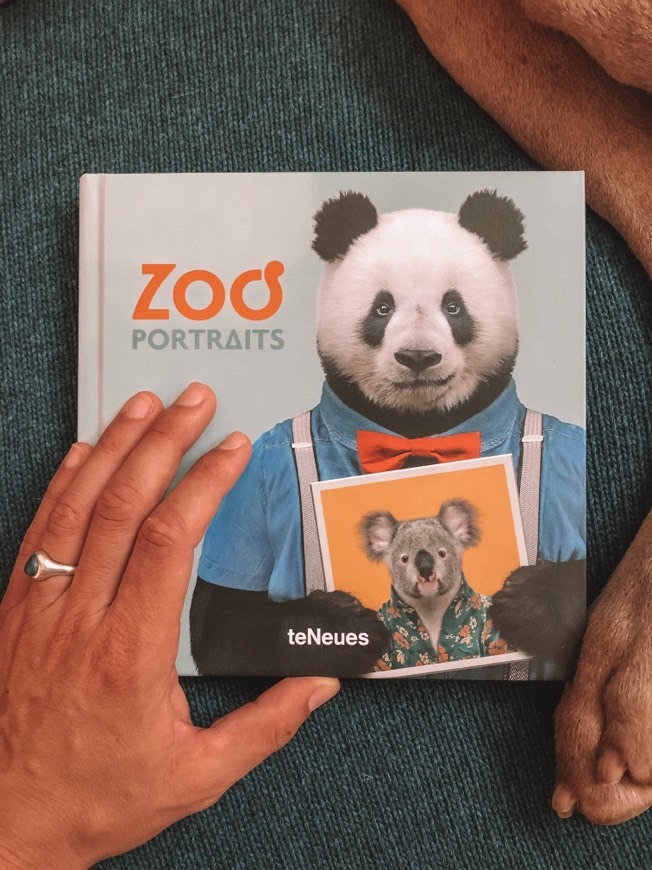 ZOO Portraits