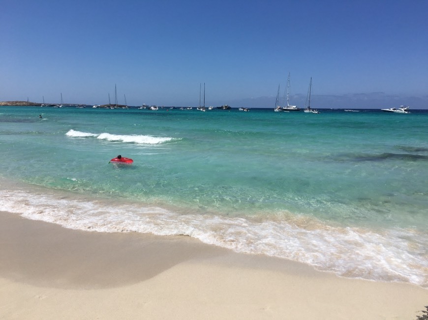 Lugar Playa de Ses Illetes