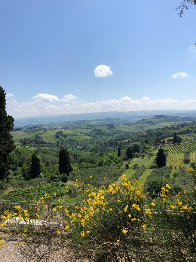 Place San Gimignano