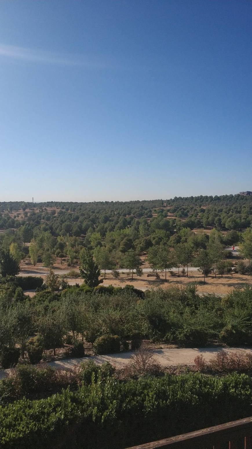 Lugar Parque Forestal de Valdebebas