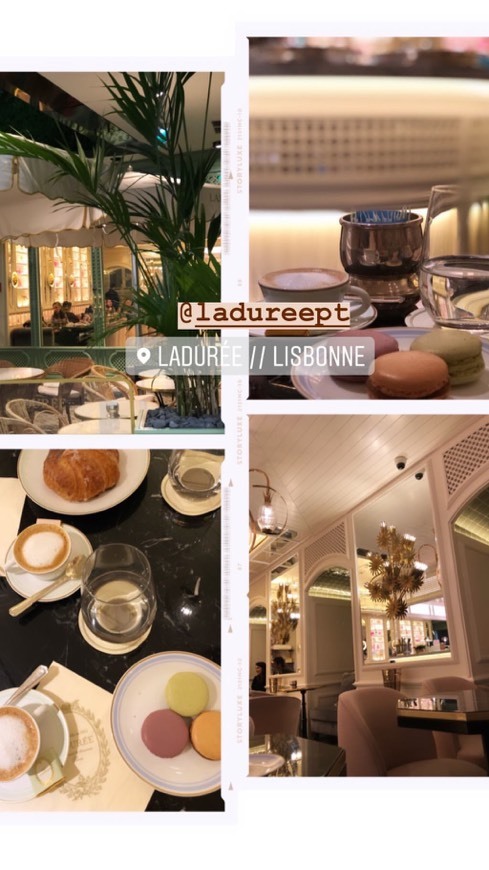 Restaurants Ladurée Lisboa - Fashion Clinic