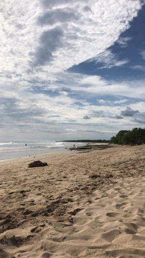 Playa Avellanas