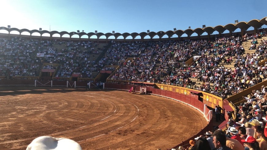 Place PLAZA DE TOROS ALGECIRAS