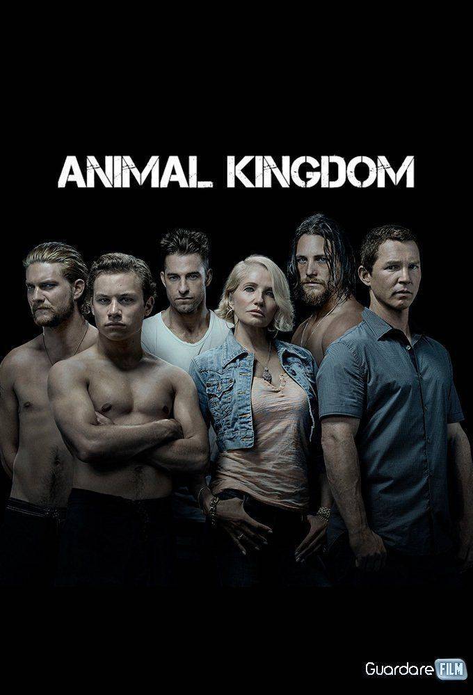 Serie Animal Kingdom